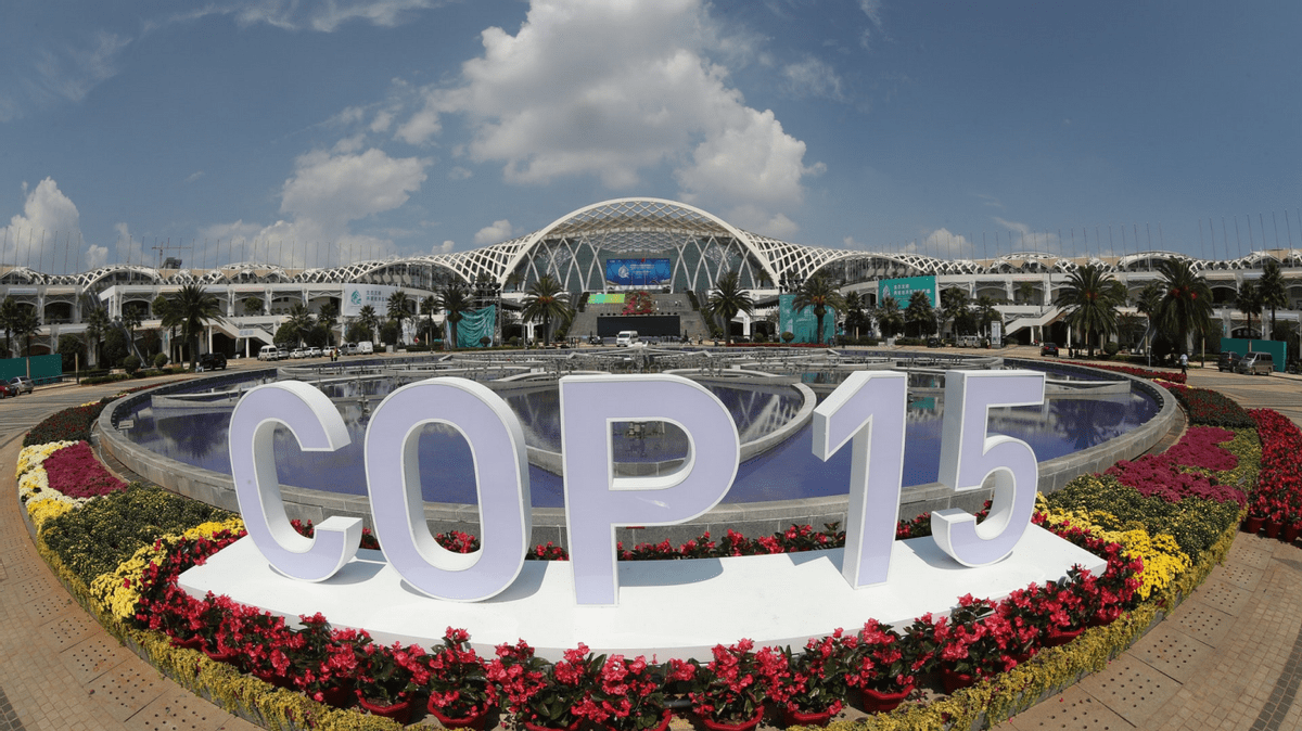 里程碑夜！纽约尼克斯内部沟通，欧篮联关键时刻刷纪录，质疑声仍在，赛程密集仍需轮换(2012尼克斯vs篮网全场录像)